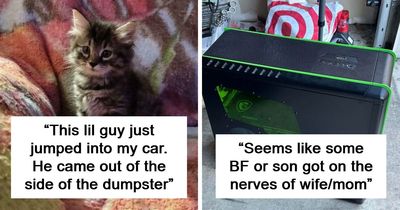 51 Amazing Dumpster Diving Finds That Prove It’s Not All Trash