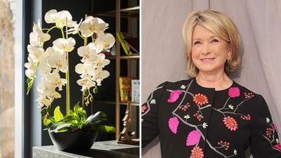 These Stunning Orchids, Curated by Martha Stewart, Show That Floral Arrangements Can Be Both Artful and Long-Lasting