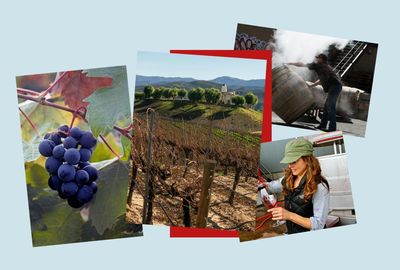 A drinkable journey through California’s wine country – from Napa Valley to Temecula