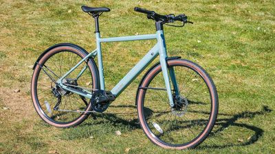 Are budget e-bikes worth it?