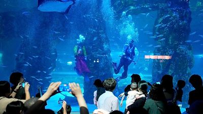 South Korean divers mark Lunar New Year with underwater performance in Seoul