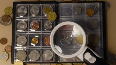 Coin Expert: What Beginners Should Know Before Buying in 2026