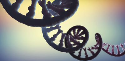 RNA is key to the dark matter of the genome − scientists are sequencing it to illuminate human health and disease