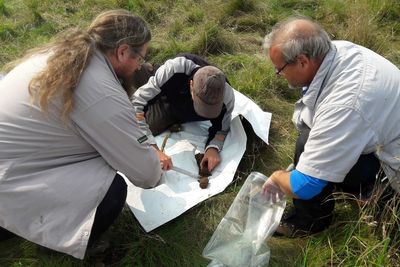 Deep soil in forests may store carbon less effectively than thought – study