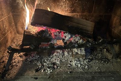 Record cold has fireplaces working overtime. Should those ashes be put to use in the garden?