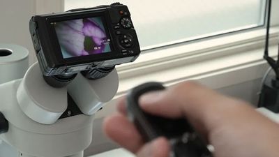 My favorite compact camera for macro just got a new version made for microscopes… but it’s how much?!!