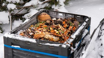 Winter composting is a secret weapon for spring gardens — 3 methods nobody talks about