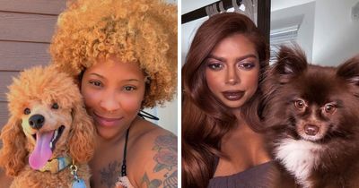 59 Examples That Prove Pets Look Like Their Owners