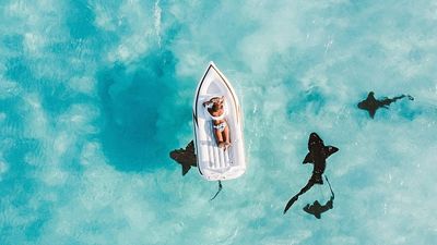 Points, perks and air miles: How 84% of travellers are ‘gaming’ loyalty schemes to save money