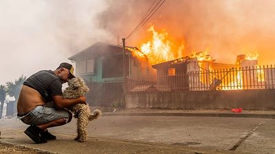 Devastating wildfires in Argentina and Chile made three times more likely by climate change