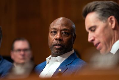 Tim Scott endorses Trump antagonist Susan Collins days after he slammed president’s ‘racist’ TruthSocial post