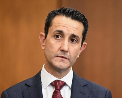 Abortion laws, gun control and the rise (again) of One Nation: is Queensland’s LNP fraying at the seams?