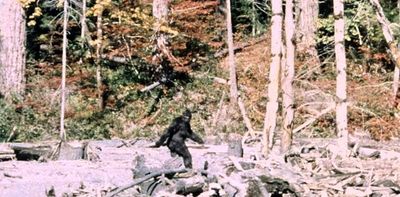 ‘It ain’t no unicorn’: meet the researchers who’ve interviewed 130 Bigfoot hunters