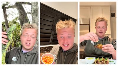 Florida man picks up cold blooded iguana from under a tree and then makes tacos with its meat