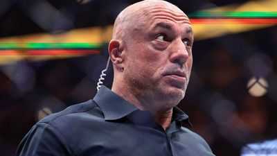 ‘Not even a possibility’: Joe Rogan escapes Epstein files, reputation intact — a simple Google search saved him