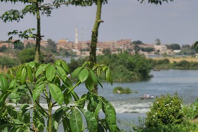 Ferry capsizes on Nile River leaving at least 15 people dead