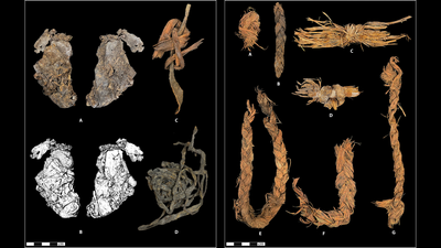 World's oldest known sewn clothing may be stitched pieces of ice age hide unearthed in Oregon cave