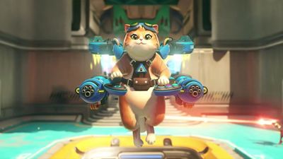 "Stop banning the cat please": Jetpack Cat just became the most popular Overwatch hero as players call her the "most fun" – but she's starting to get banned from overuse