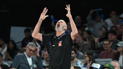 Kings coach Goorjian fined over foul-mouthed spray