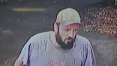 Woodchopper found alive after going missing for days