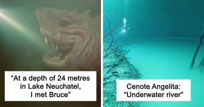 71 Terrifying Pics That Might Make You Afraid Of The Ocean