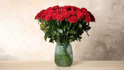 Skip the scrubbing: 3 hacks for cleaning a flower vase ahead of Valentine’s Day