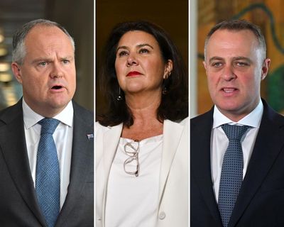 Angus Taylor will challenge for the Liberal leadership – but who will be the deputy?