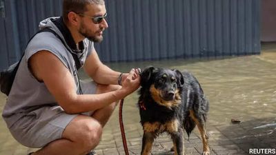 Brazil passes a law allowing pets to be buried with their owners