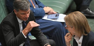 Flood of frontbench resignations as Liberals prepare for Friday leadership showdown