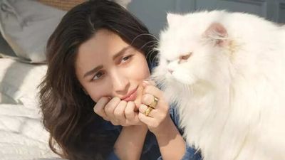 Alia Bhatt says her cats taught her powerful life lessons on expectations and peace
