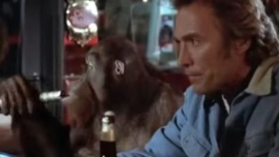 I Finally Watched Clint Eastwood's Monkey Movie, Every Which Way But Loose, And Liked It! Here's Why