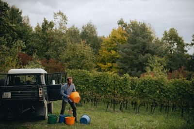 Heard it on the grapevine: Polish wine’s quiet renaissance