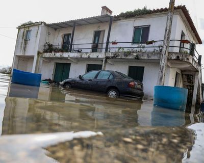 Portugal urged to adapt to climate emergency after series of deadly storms