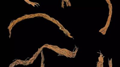 How did humans survive 12,000 years ago? These ancient needles found in Oregon hold the answer