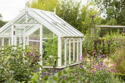 6 Items Experts Say You Should Never Store in a Greenhouse