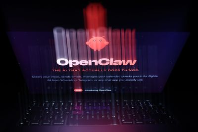 Security experts are uneasy about OpenClaw, the bad boy of AI agents