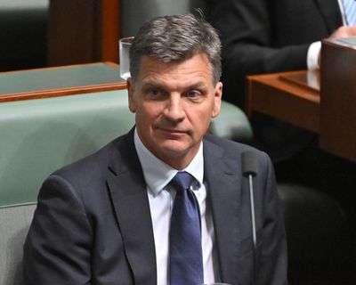 New leader targets immigration in first comments after spill – as it happened