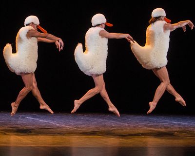 Tutu review – cheeky tribute to ballet has a disco Swan Lake and the Dirty Dancing lift