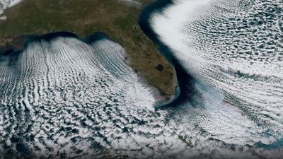 'Cloud streets' stream from the Florida coast | Space photo of the day for Feb. 12, 2026