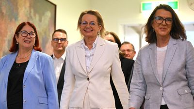 Sussan Ley's ousting 'not a good look' to female voters
