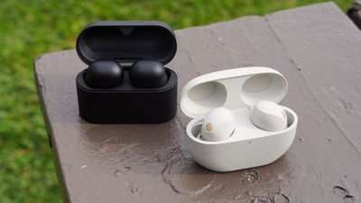I compared Sony's new WF-1000XM6 earbuds to the WF-1000XM5 — here's what's new
