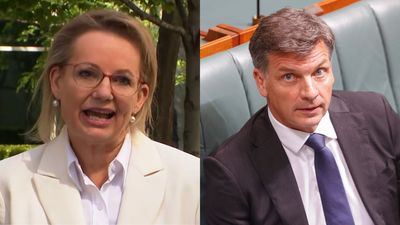 Sussan Ley Resigns From Politics After Losing Leadership Contest To Angus Taylor