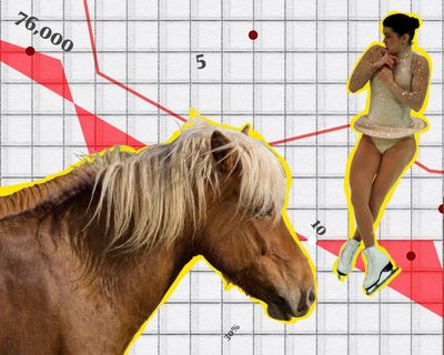 The Crunch: political donations, exceptional figure skating and the year of the horse