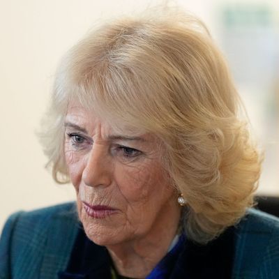Queen Camilla Is Tackling a Cause That Would've Been "Unimaginable" For Previous Royals as She Reflects on "Horrifying" Crisis