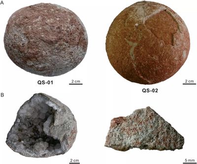 Cannonball-sized dinosaur crystallised eggs found in China