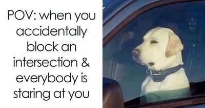 49 Memes For Those Who Find Themselves Wide Awake At 3 AM