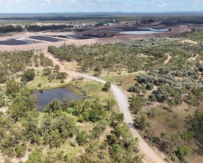 Qld coalmine expansion approved by Albanese government will clear habitat and fuel climate crisis, scientists say