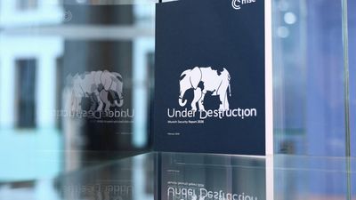 'Under destruction': Europe's future security in question at Munich conference