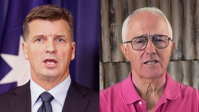 Malcolm Turnbull Unleashes On New Liberal Leader & ‘Qualified Idiot’ Angus Taylor On Live TV