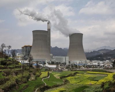 Businesses must take responsibility for biodiversity loss – for their sake as much as ours